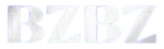 bzbz Logo